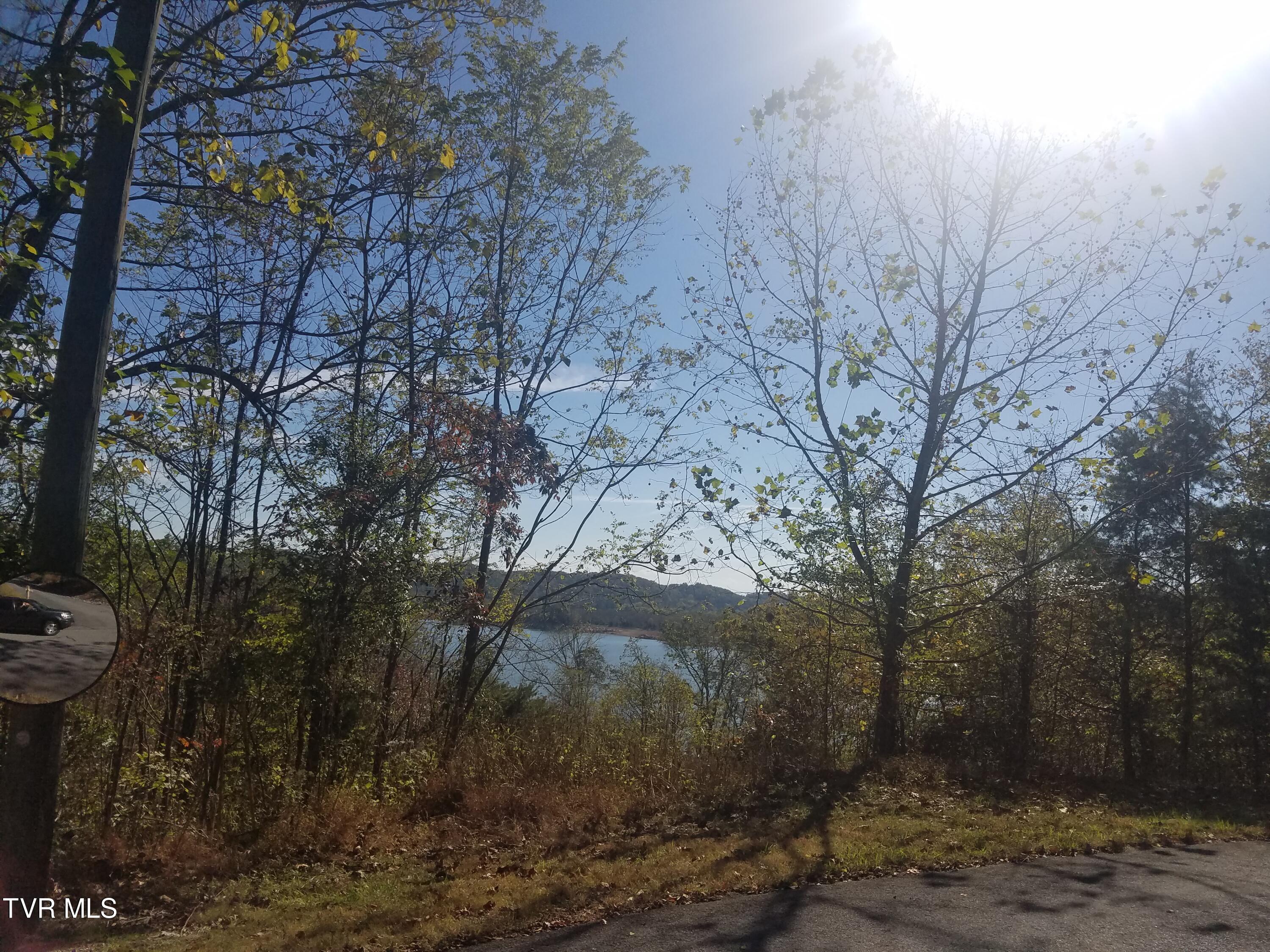 607 Lakeview Drive, Mooresburg, Tennessee image 13
