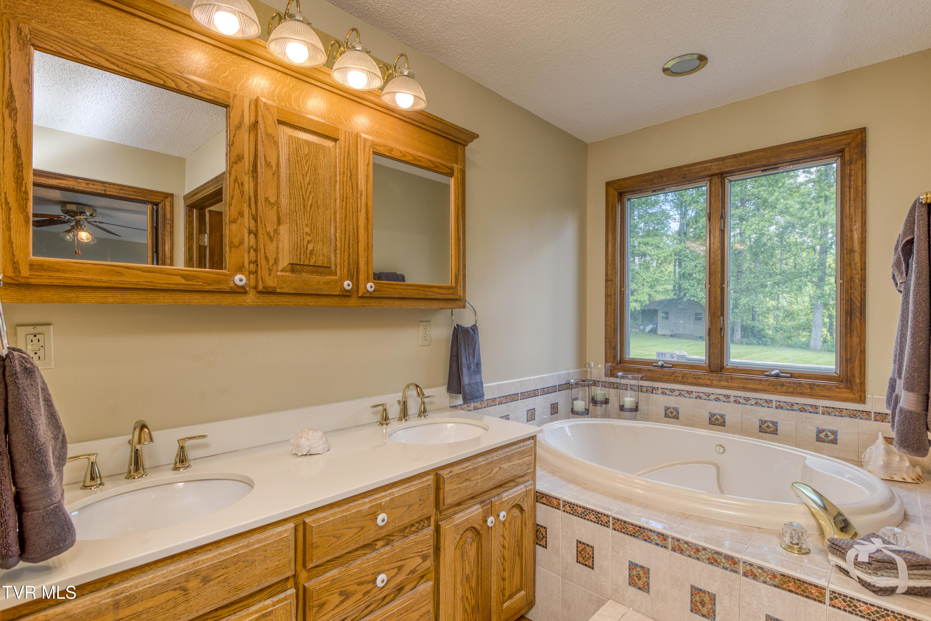 14346 White Top View, Abingdon, Virginia image 40