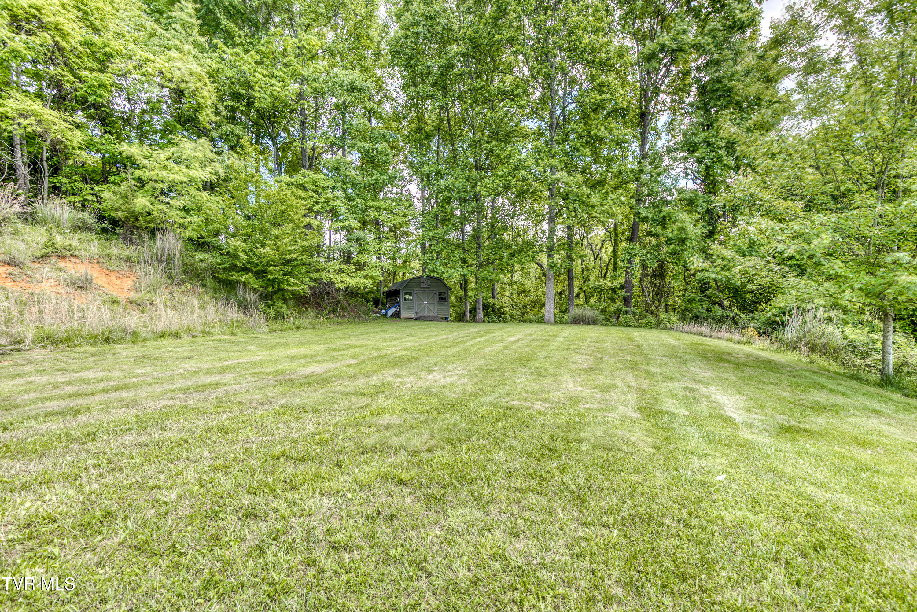 14346 White Top View, Abingdon, Virginia image 5