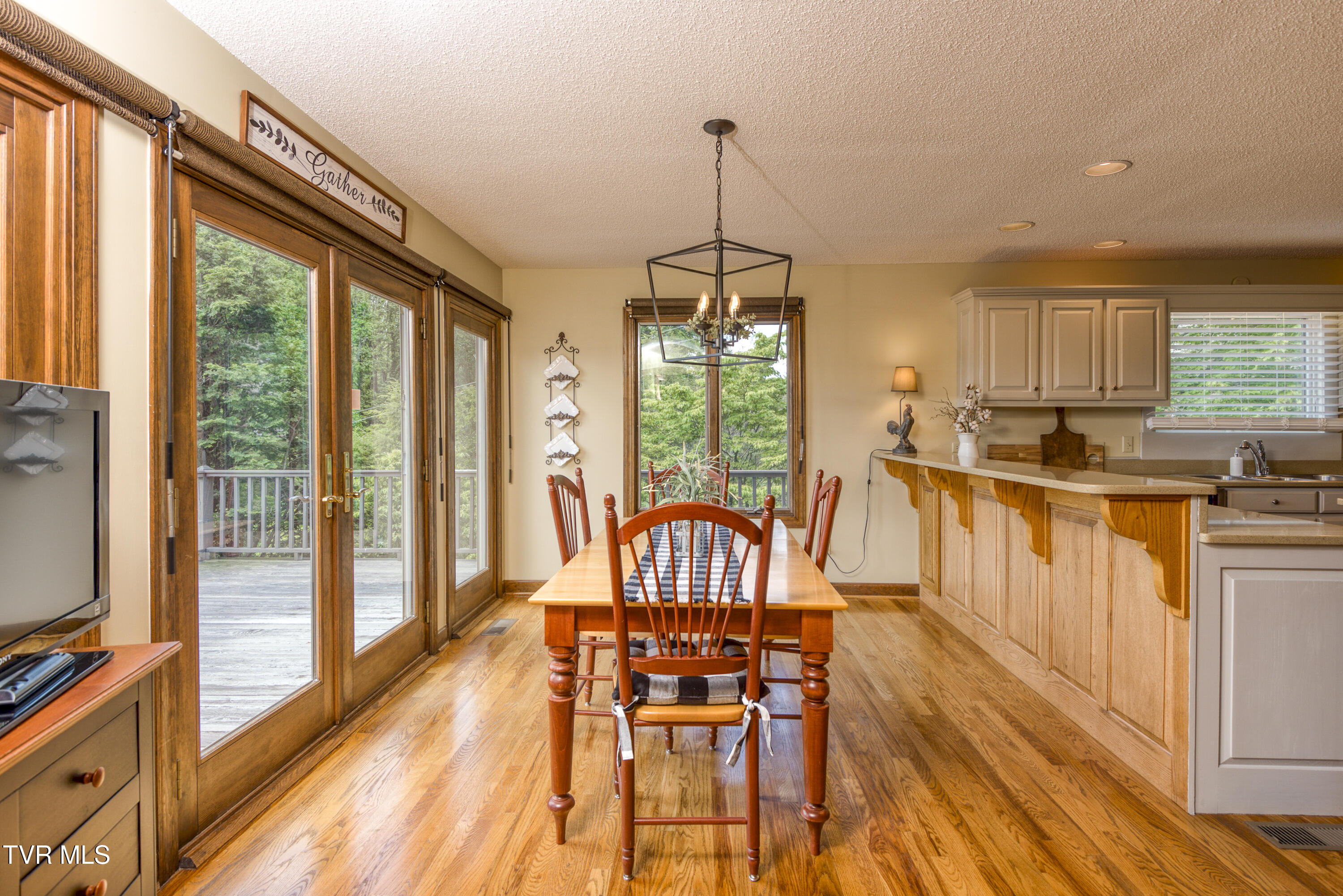 14346 White Top View, Abingdon, Virginia image 16