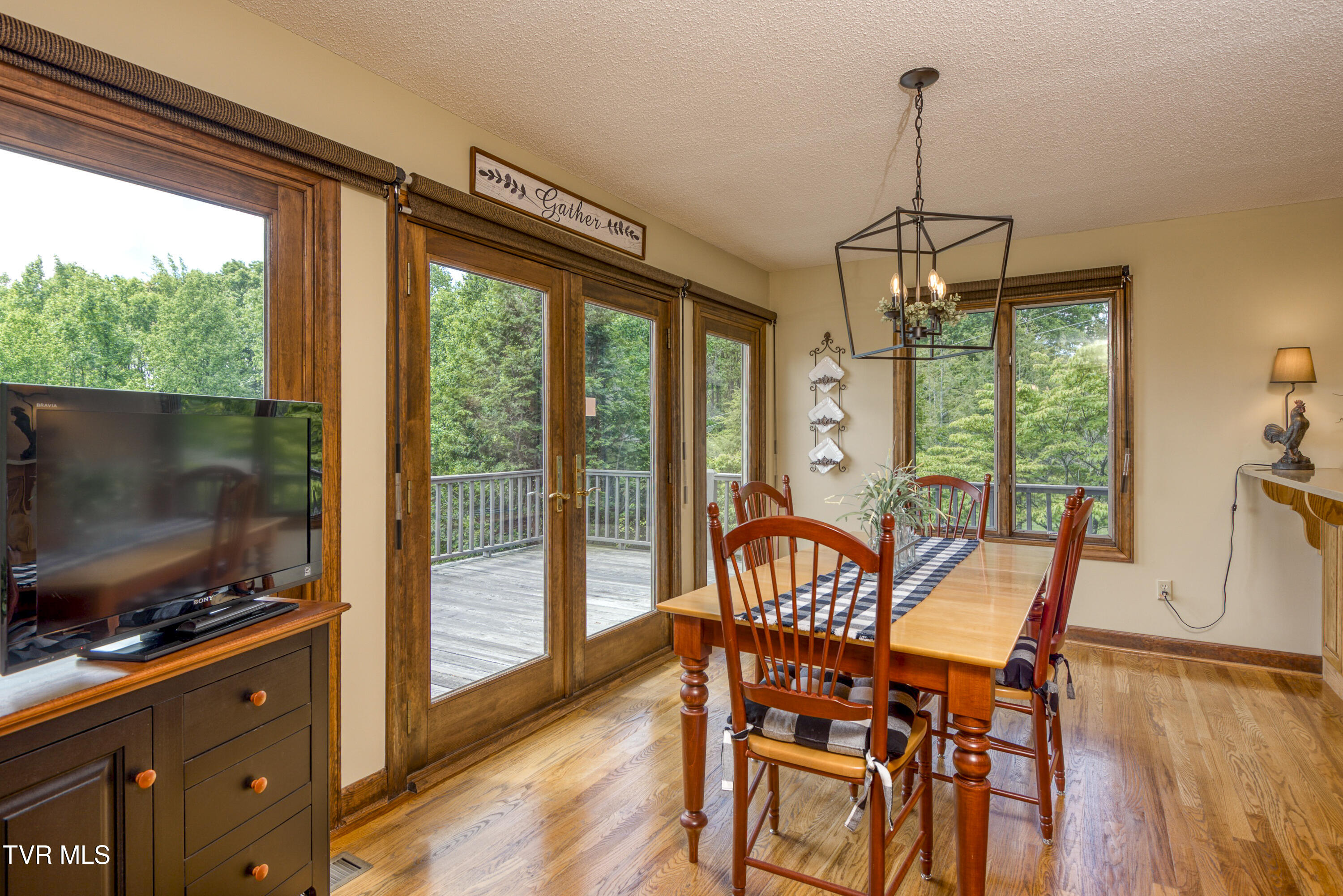 14346 White Top View, Abingdon, Virginia image 15
