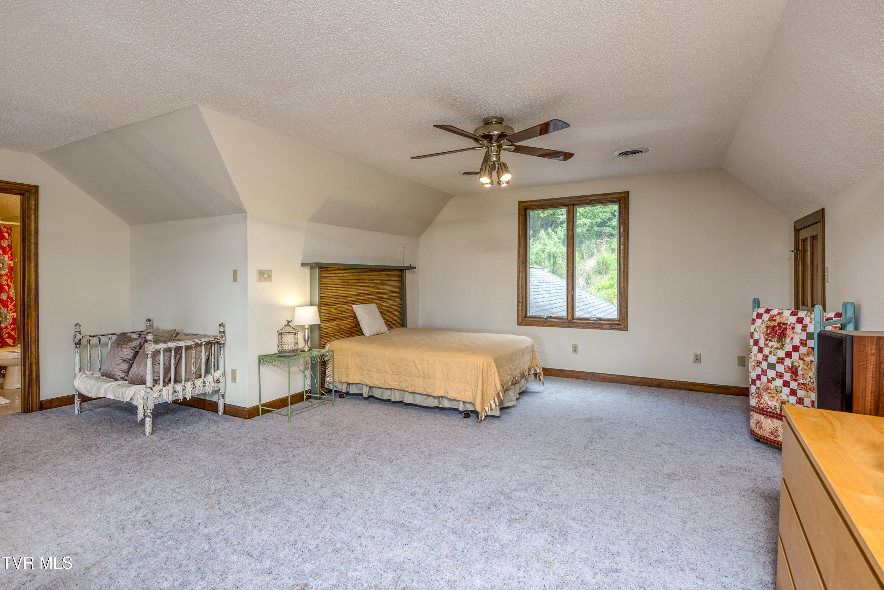 14346 White Top View, Abingdon, Virginia image 44