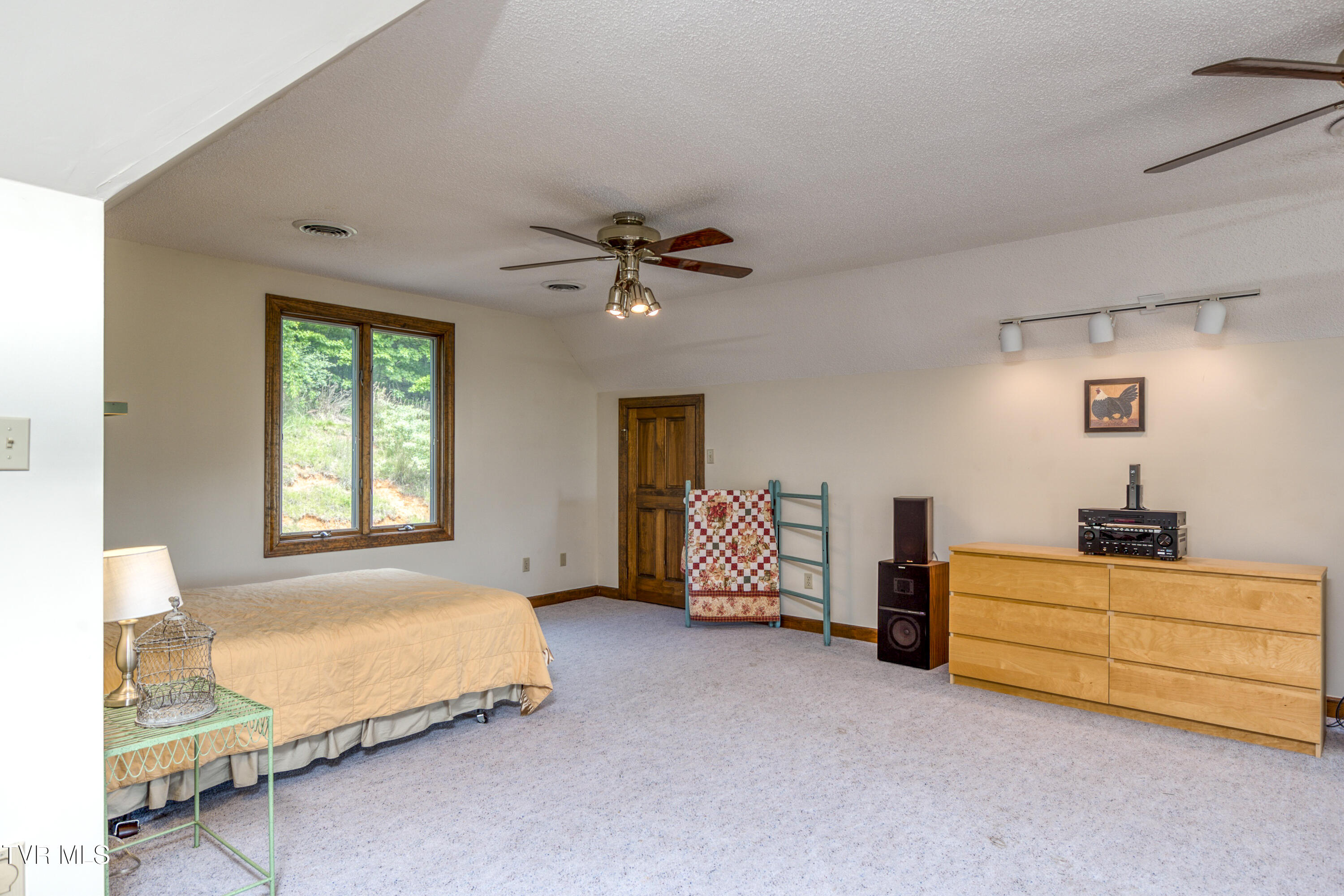 14346 White Top View, Abingdon, Virginia image 45
