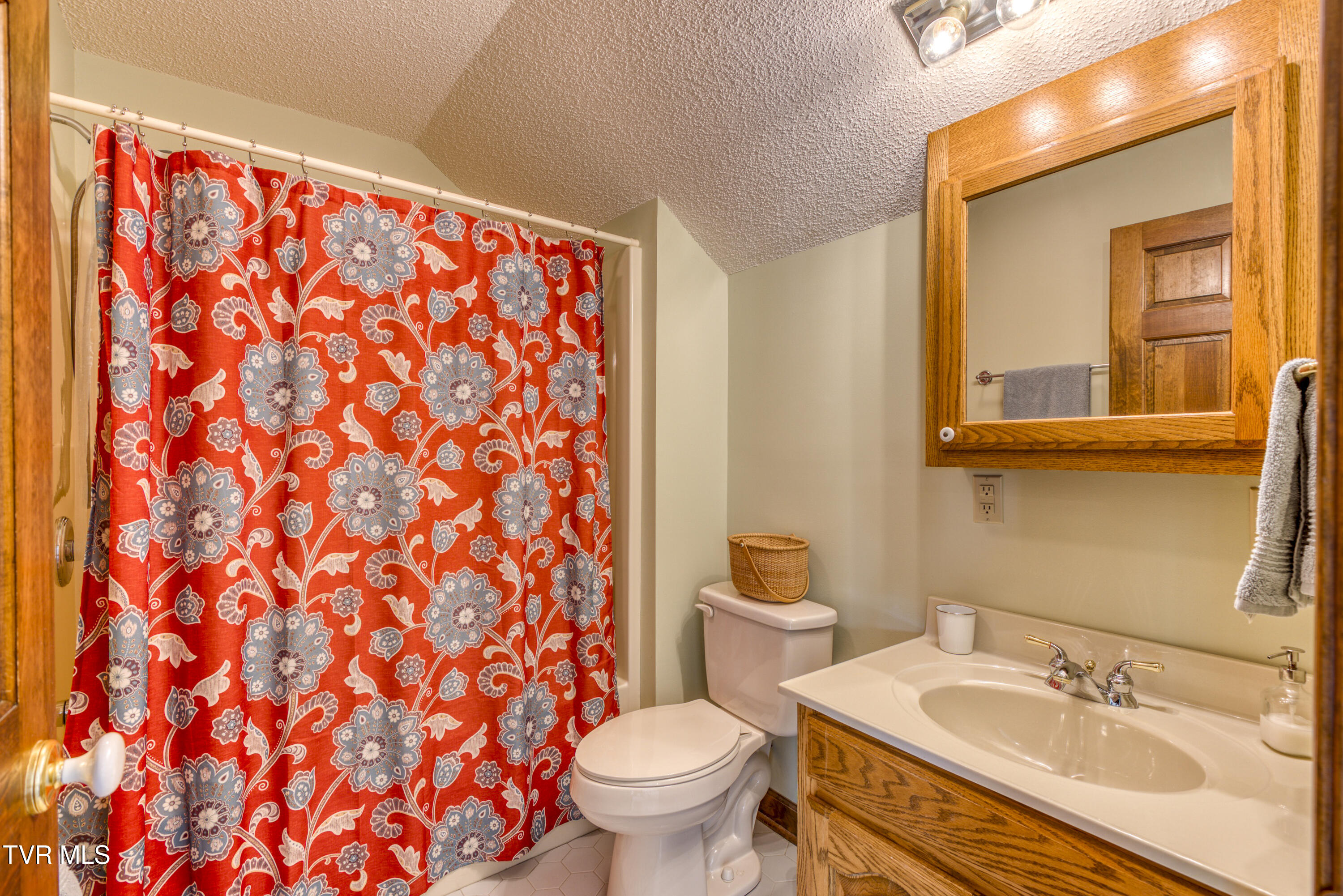 14346 White Top View, Abingdon, Virginia image 46