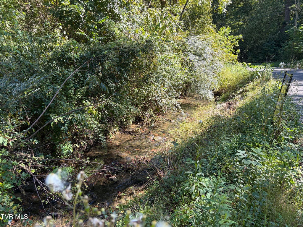Photo of 2015 Lauderdale Drive, Johnson City, TN 37601 (MLS # 10001542)