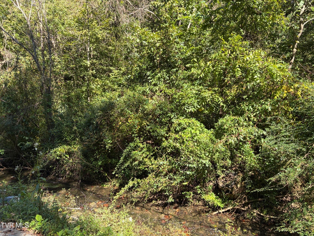 Photo of 2015 Lauderdale Drive, Johnson City, TN 37601 (MLS # 10001542)