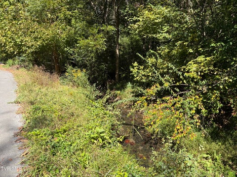 Vacant Land For Sale - 2015 Lauderdale Drive<br/> Johnson City, TN 37601