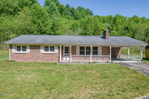 Photo of 355 Robinson Hollow Lane, Mountain City, TN 37683 (MLS # 9995371)