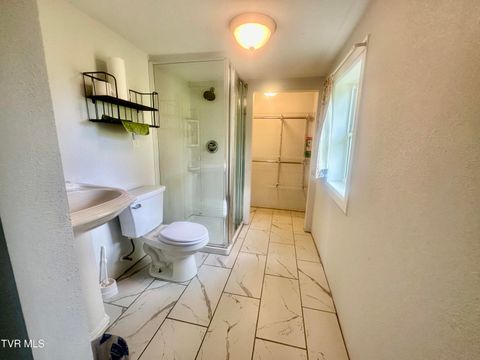 Tiny photo for 6465 Old Stage Road, Chuckey, TN 37641 (MLS # 9979218)