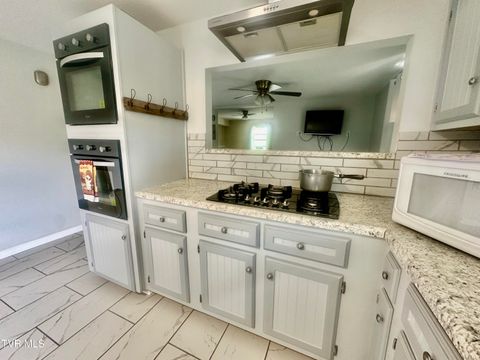 Tiny photo for 6465 Old Stage Road, Chuckey, TN 37641 (MLS # 9979218)