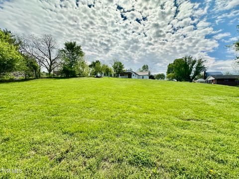 Tiny photo for 6465 Old Stage Road, Chuckey, TN 37641 (MLS # 9979218)