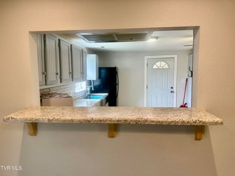 Tiny photo for 6465 Old Stage Road, Chuckey, TN 37641 (MLS # 9979218)