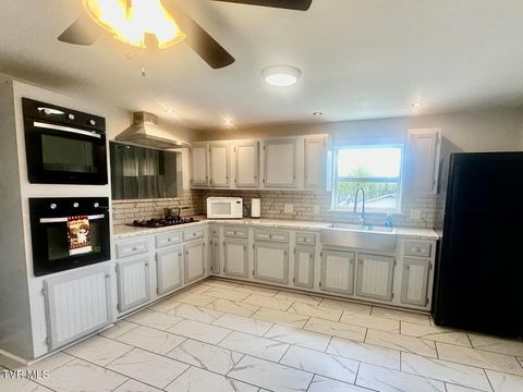Tiny photo for 6465 Old Stage Road, Chuckey, TN 37641 (MLS # 9979218)