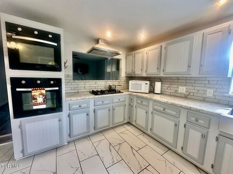 Tiny photo for 6465 Old Stage Road, Chuckey, TN 37641 (MLS # 9979218)