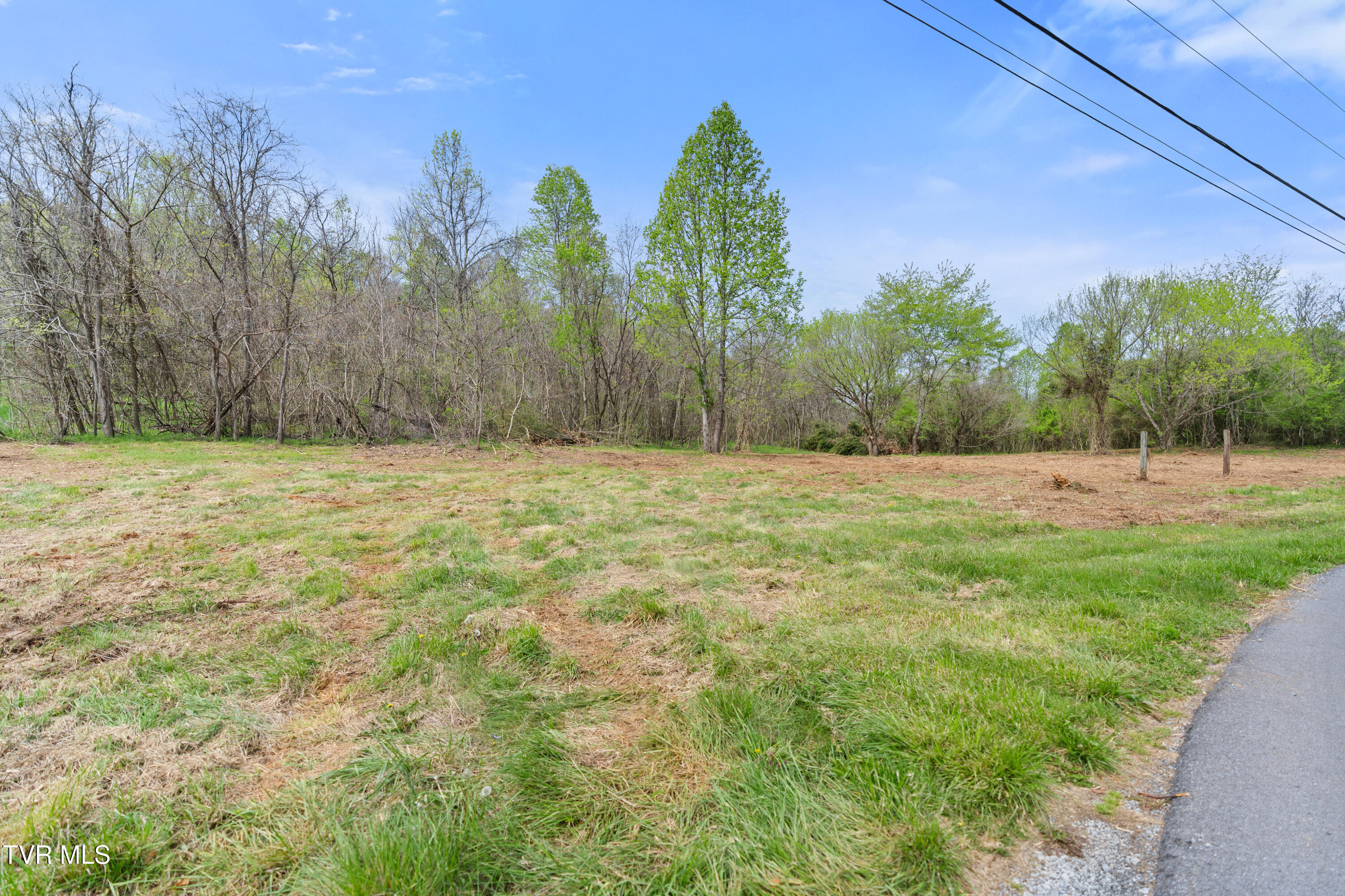 Tbd Doty Chapel Road, Afton, Tennessee image 10