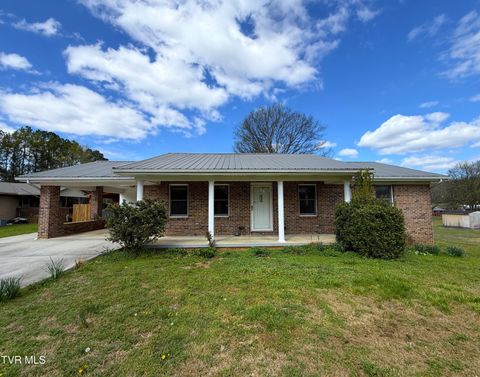 Photo of 858 Burnett Drive, Newport, TN 37821 (MLS # 9992787)