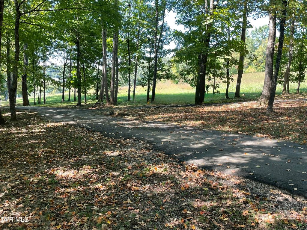 Photo of 1250 N Liberty Hill Road, Morristown, TN 37814 (MLS # 9986464)