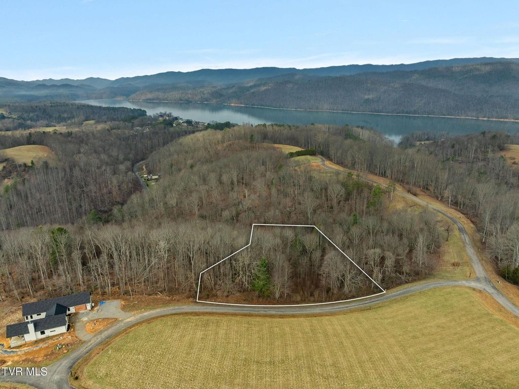 Photo of 000 Mountain Laurel Lane Road, Butler, TN 37640 (MLS # 9992411)