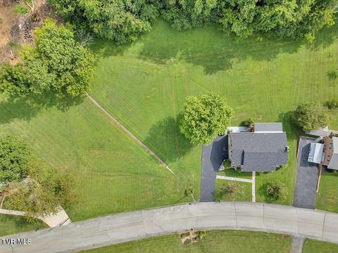 Vacant Land For Sale - TBD Meadowlark Drive<br/> Greeneville, TN 37743