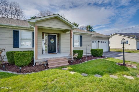 112 Isaac Lincoln Place Elizabethton TN 37643