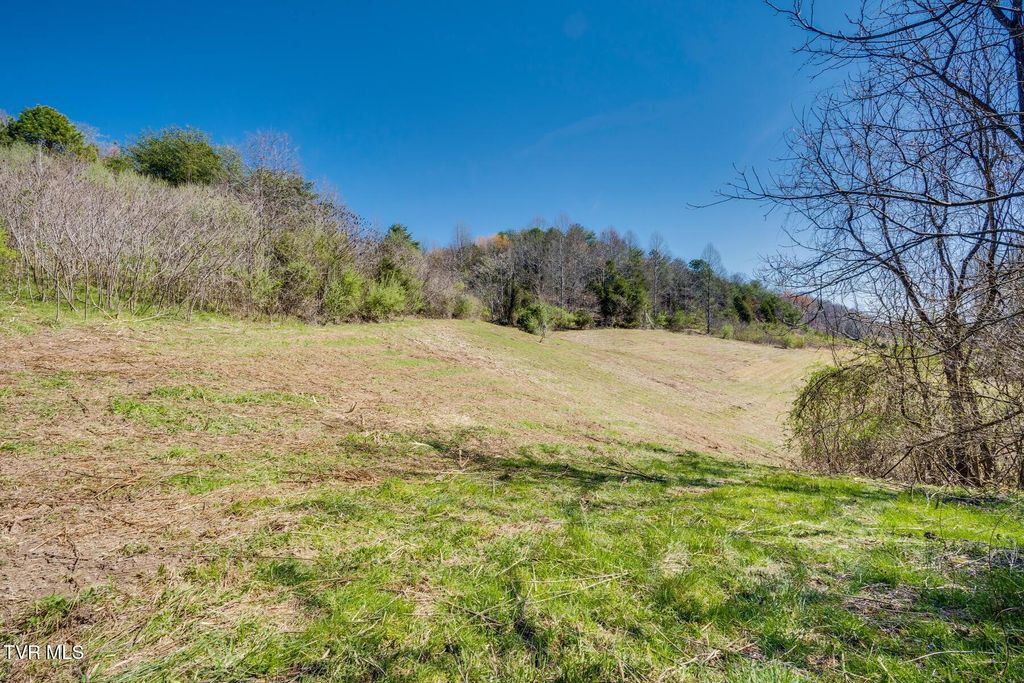Photo of Tbd Ivy Valley Road, Gate City, VA 24251 (MLS # 9996886)
