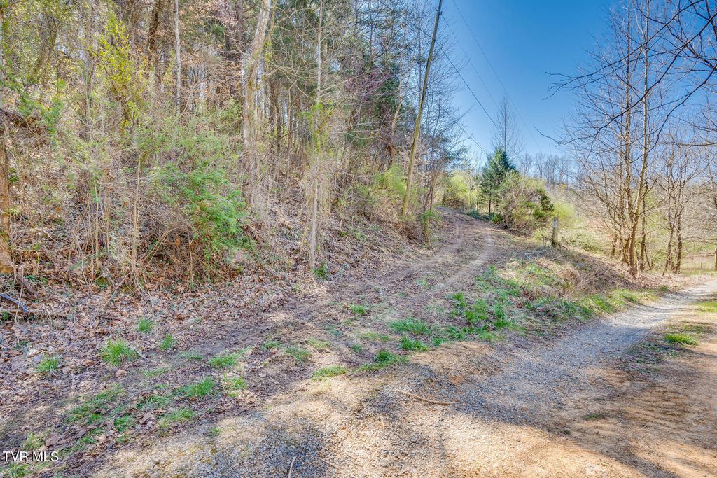Photo of Tbd Ivy Valley Road, Gate City, VA 24251 (MLS # 9996886)