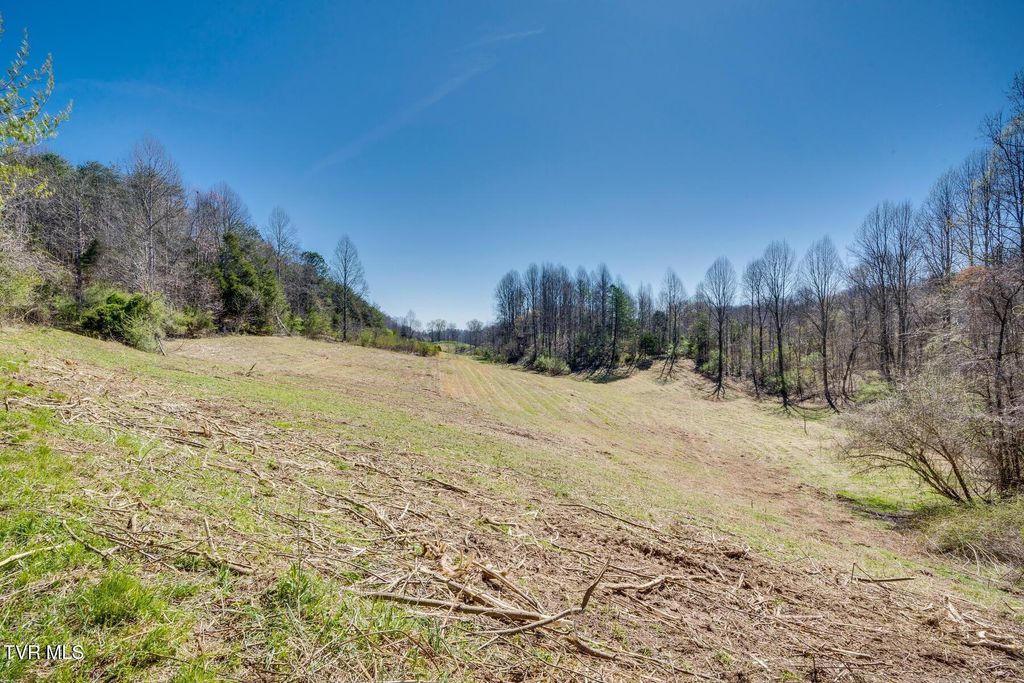 Photo of Tbd Ivy Valley Road, Gate City, VA 24251 (MLS # 9996886)