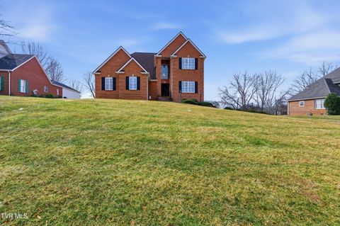 Photo of 117 Canterbury Place, Bristol, TN 37620 (MLS # 9991934)