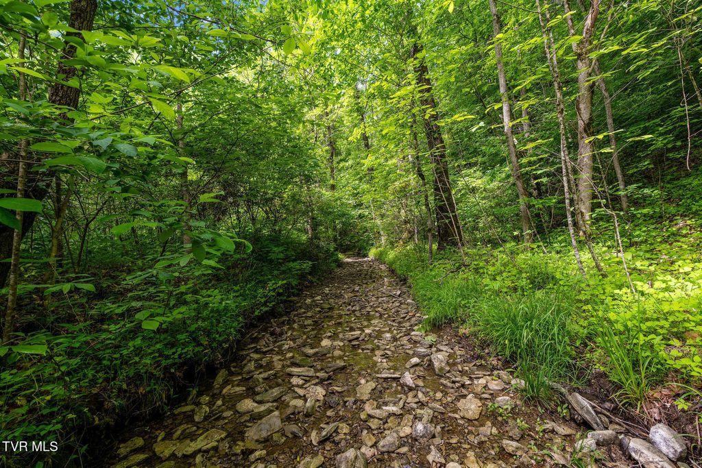 Photo of Tbd Rocky Hollow Road, Rogersville, TN 37857 (MLS # 9995719)