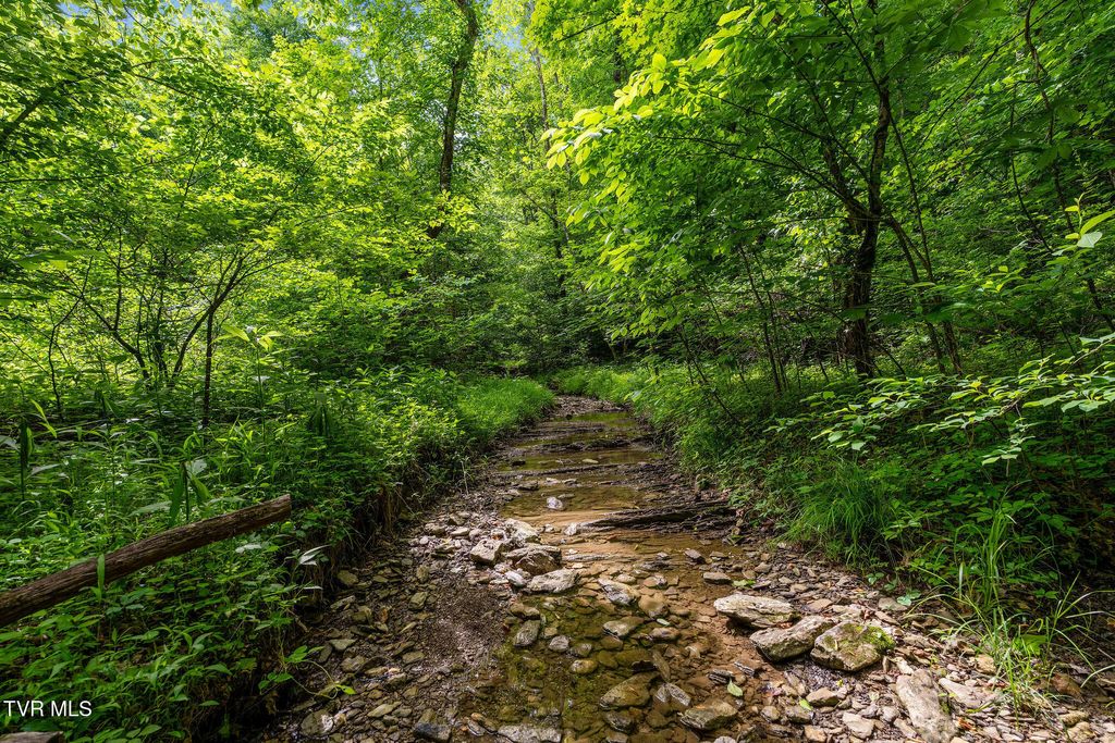 Photo of Tbd Rocky Hollow Road, Rogersville, TN 37857 (MLS # 9995719)
