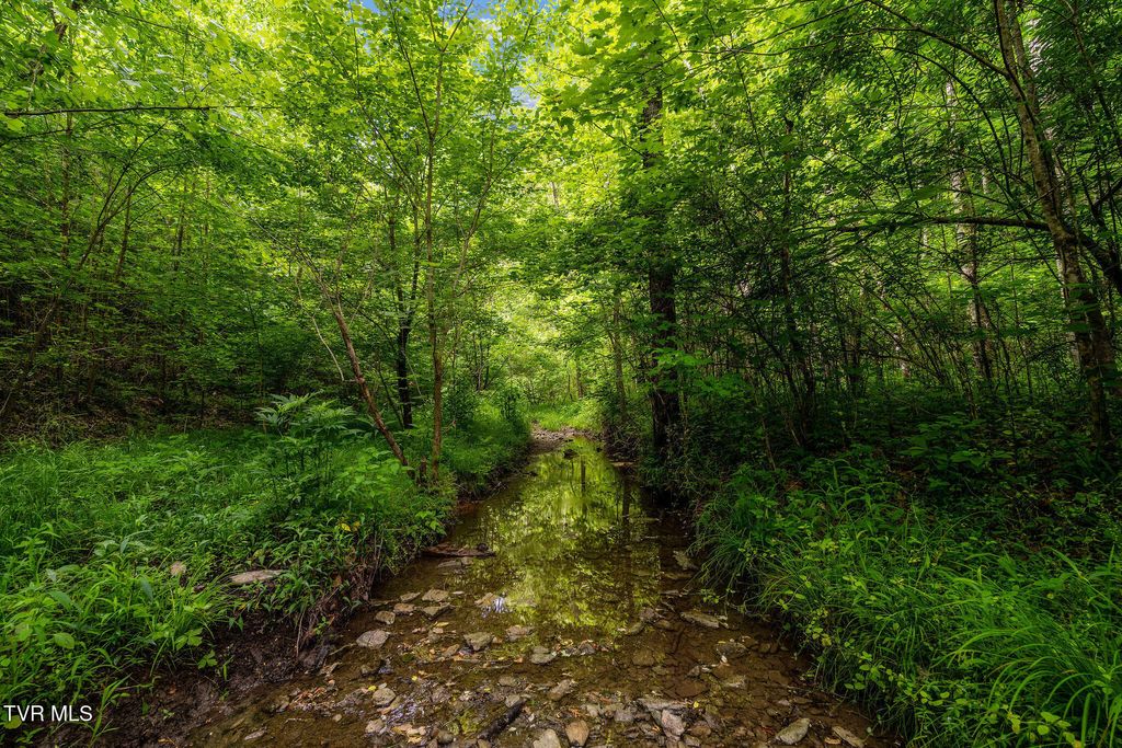 Photo of Tbd Rocky Hollow Road, Rogersville, TN 37857 (MLS # 9995719)