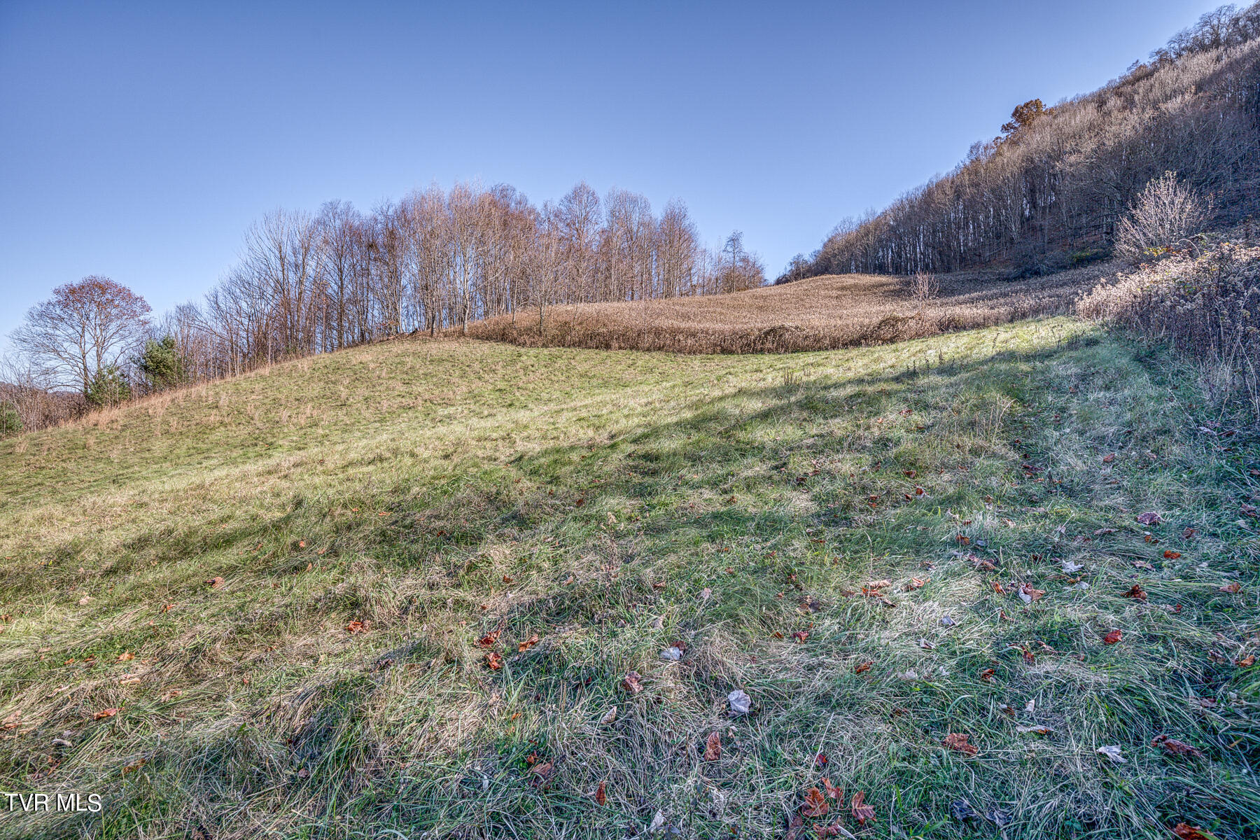 427 Cove Creek Road, Roan Mountain, Tennessee image 26