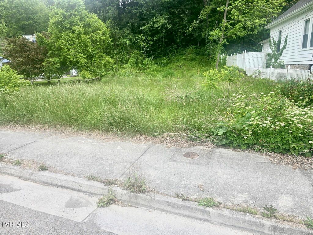 Photo of 212 9th Street, Norton, VA 24273 (MLS # 9996014)