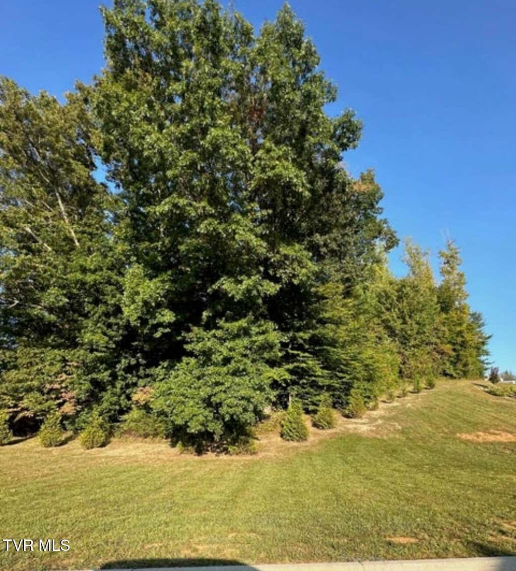 Photo of 3 Sylvias Meadow, Jonesborough, TN 37659 (MLS # 9998500)