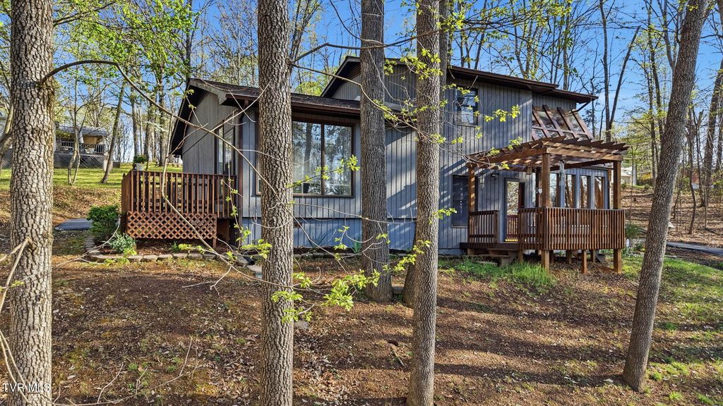 Photo of 149 Fern Street, Church Hill, TN 37642 (MLS # 9993678)