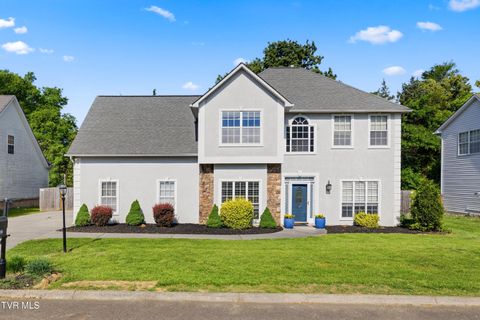 Photo of 7019 Cherry Grove Road, Knoxville, TN 37931 (MLS # 9995135)