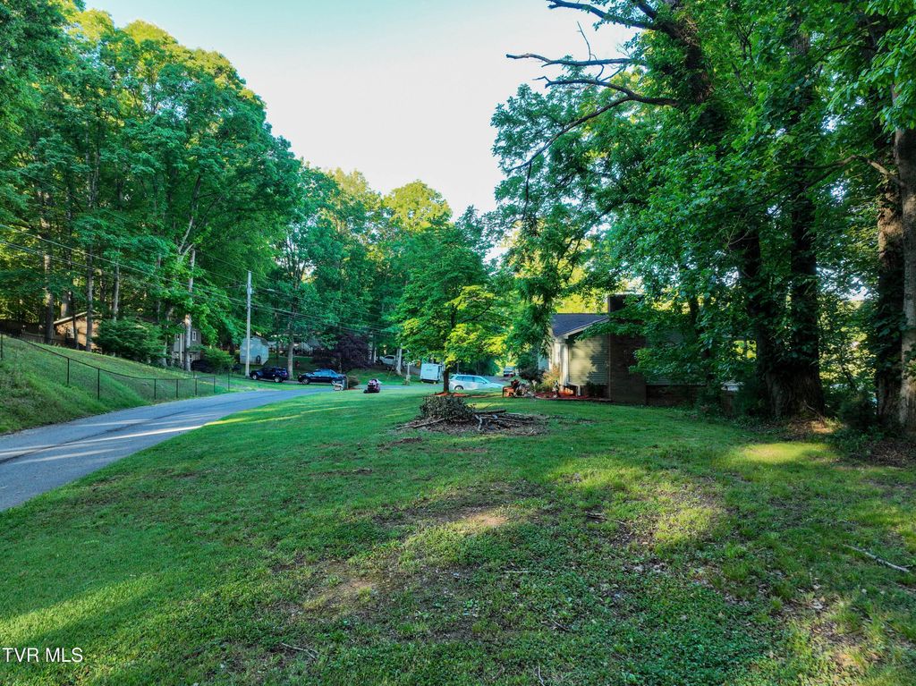 Photo of Tbd Kings Mountain Drive, Church Hill, TN 37642 (MLS # 9995504)