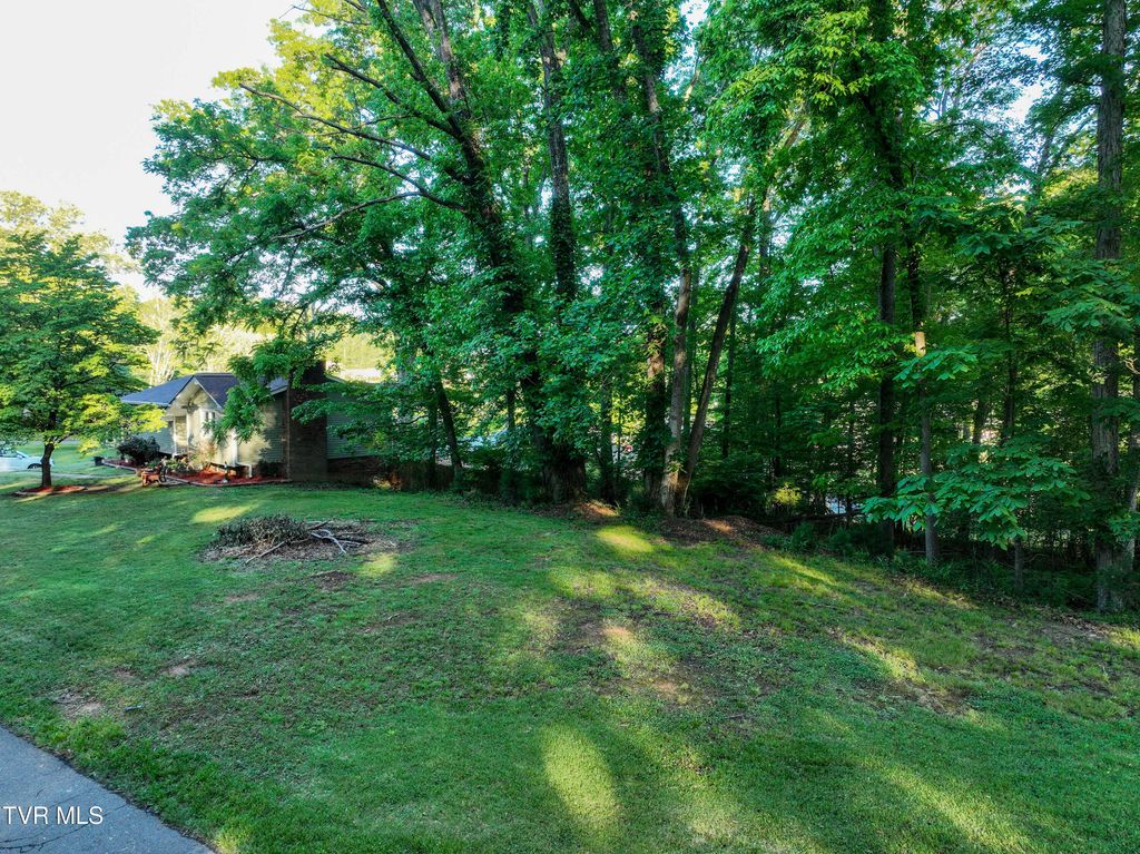 Photo of Tbd Kings Mountain Drive, Church Hill, TN 37642 (MLS # 9995504)