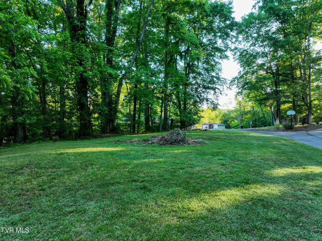 Photo of Tbd Kings Mountain Drive, Church Hill, TN 37642 (MLS # 9995504)