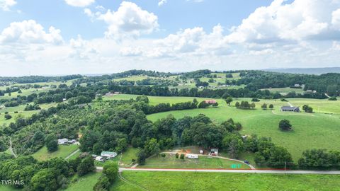 Vacant Land For Sale - 755 Brown Springs Road<br/> Greene County, Mosheim, TN 37818
