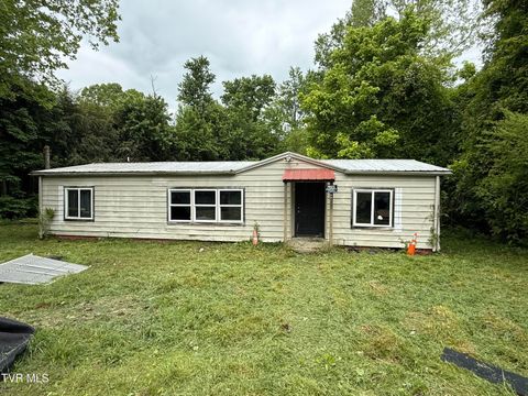 Photo of 733 Taggart Avenue, Big Stone Gap, VA 24219 (MLS # 9995126)
