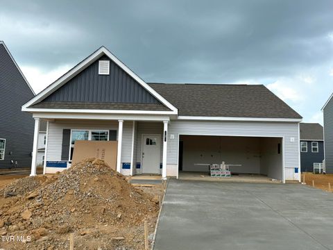 Homes For Sale - 3 Morsel Court Ct<br/> Johnson City, TN 37615
