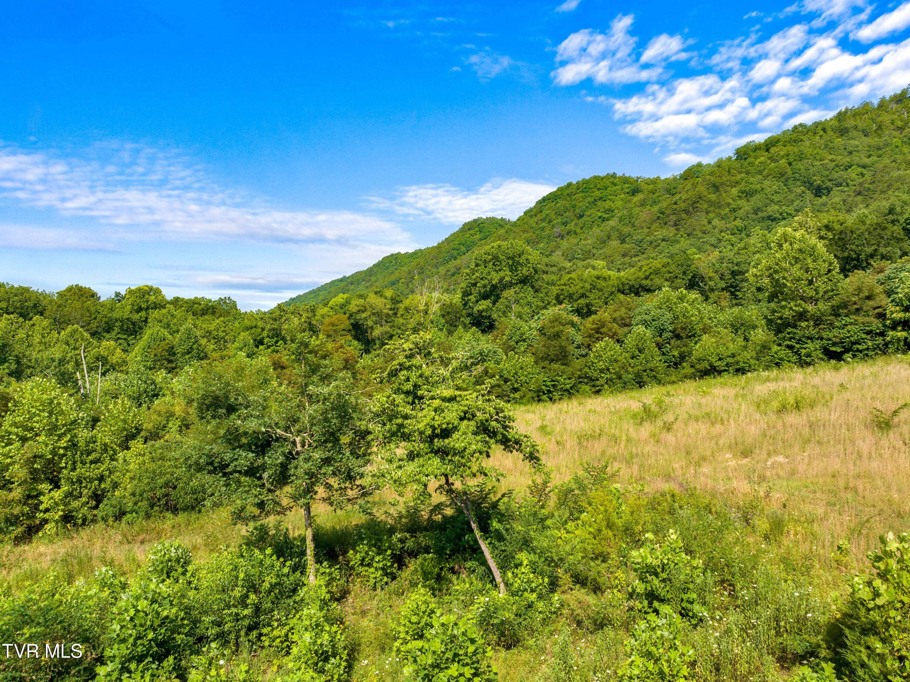 Tbd Sandy Valley Tract 1-a Road, Rogersville, Tennessee image 6