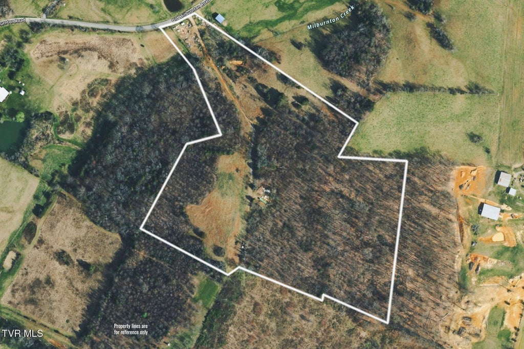 Photo of 1680 Old Milburnton Road, Limestone, TN 37681 (MLS # 10001703)
