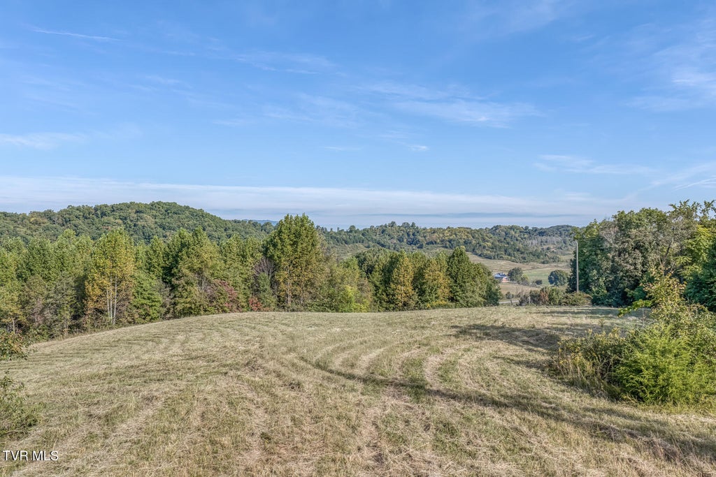 Photo of 1680 Old Milburnton Road, Limestone, TN 37681 (MLS # 10001703)