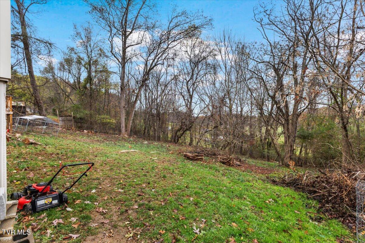 228 Ernie Drive, Kingsport, Tennessee image 7