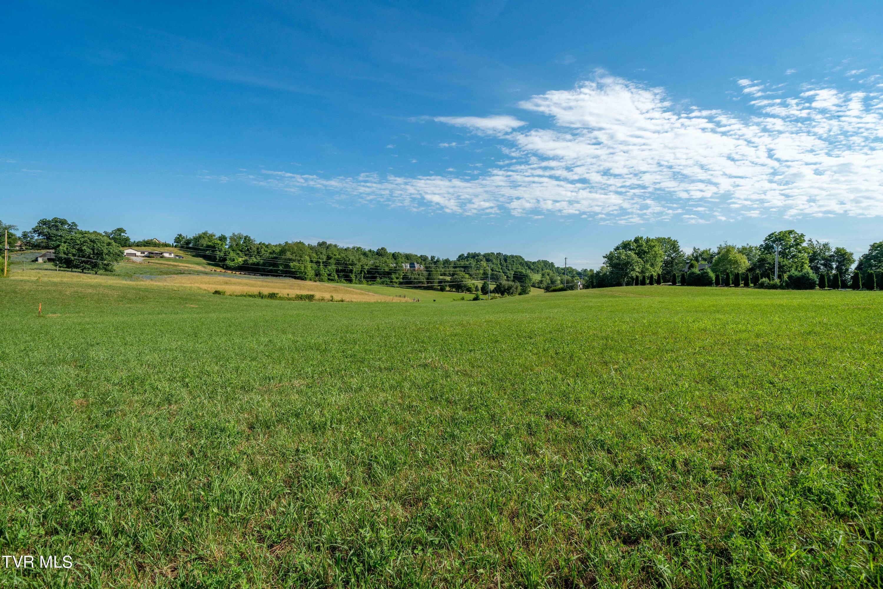 Tbd Carroll Creek Road, Johnson City, Tennessee image 39
