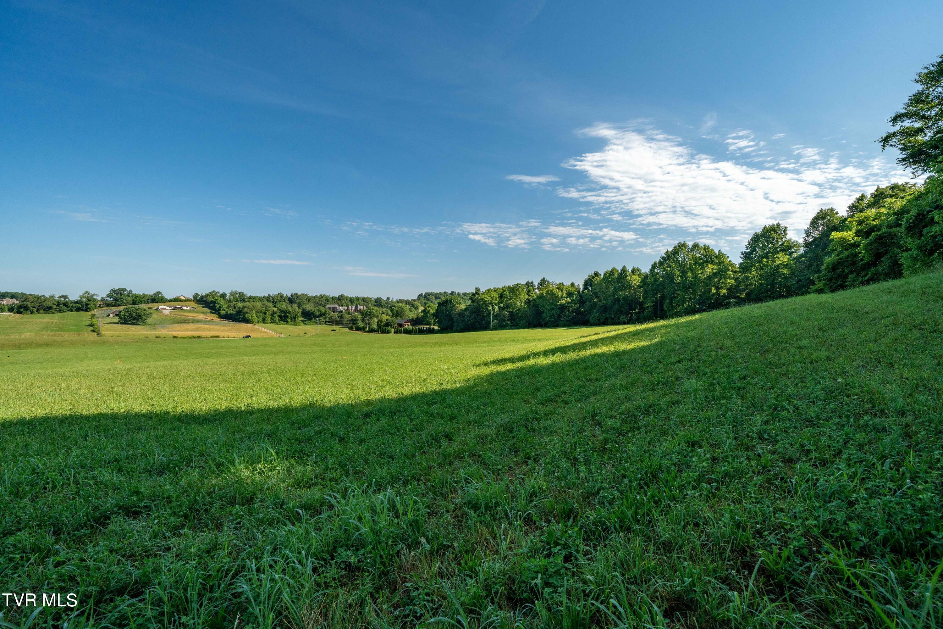Tbd Carroll Creek Road, Johnson City, Tennessee image 46