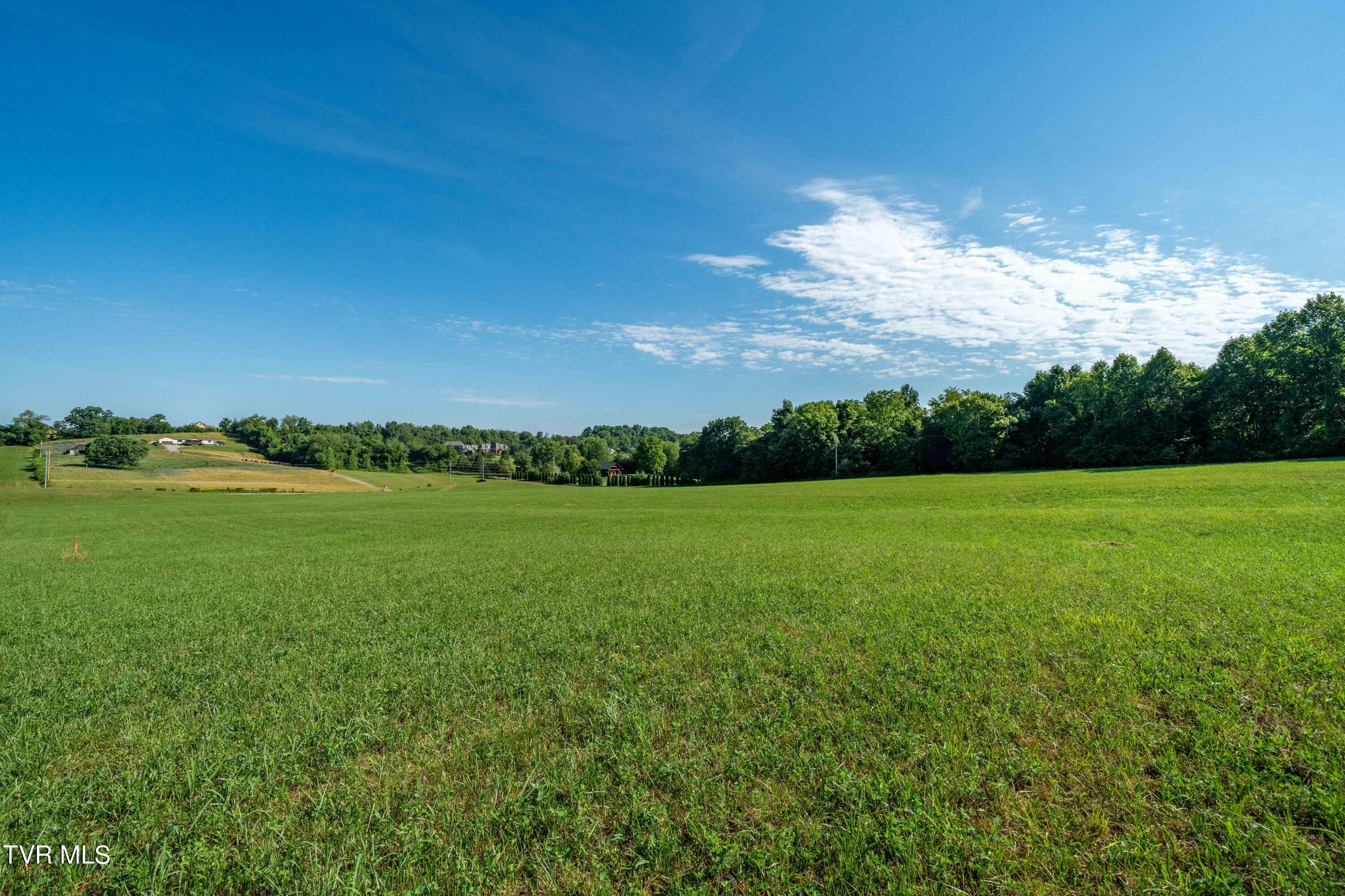 Tbd Carroll Creek Road, Johnson City, Tennessee image 44