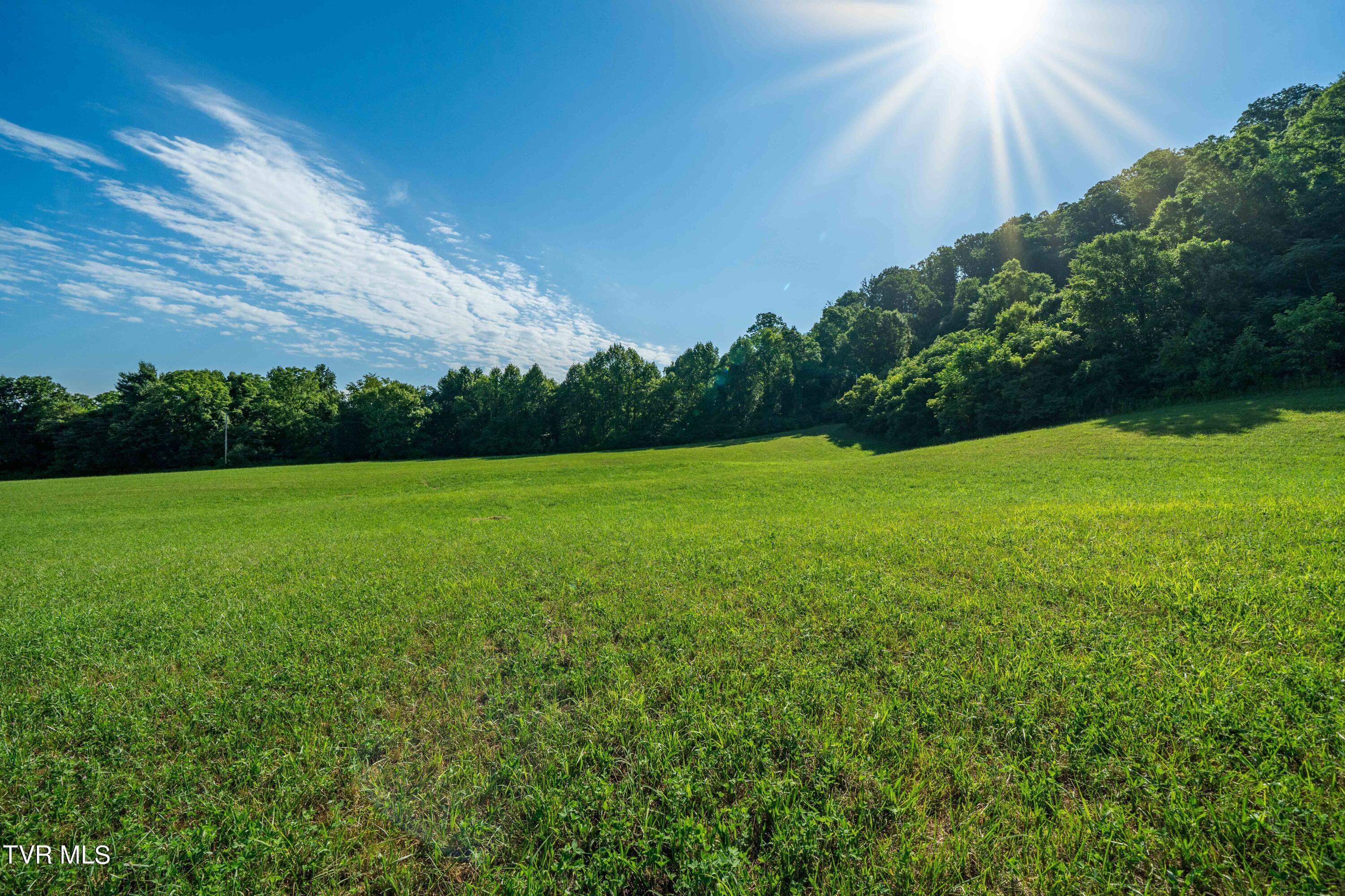 Tbd Carroll Creek Road, Johnson City, Tennessee image 45